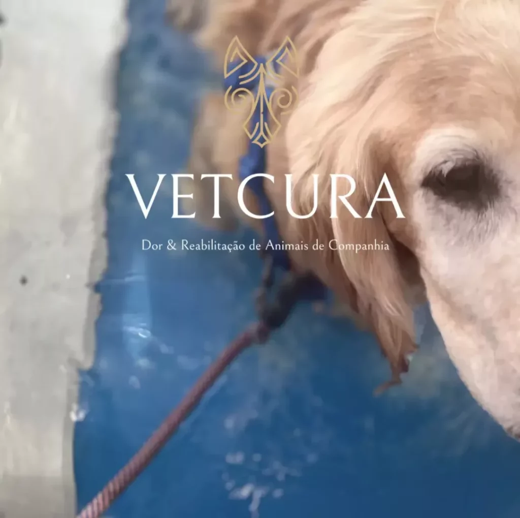 Vetcura