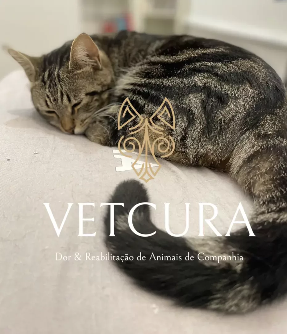 VETCURA