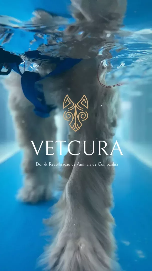 Vetcura