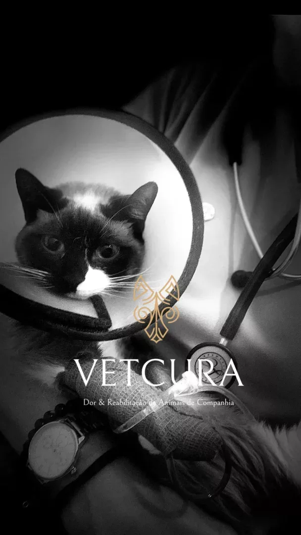 Vetcura