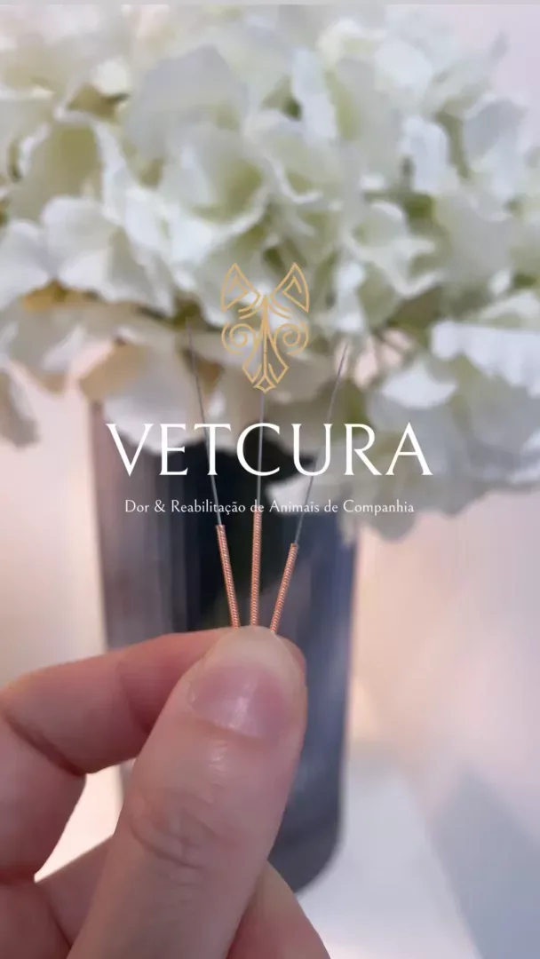 Vetcura