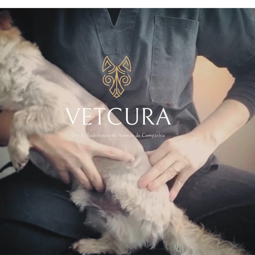 VETCURA