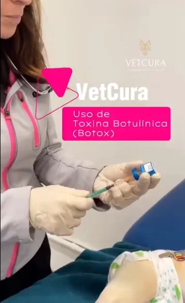 vetcura